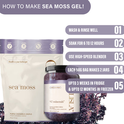 Purple Irish Sea Moss